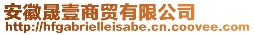 安徽晟壹商貿有限公司