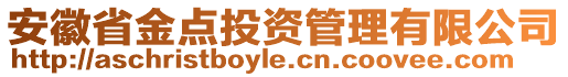 安徽省金點投資管理有限公司