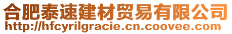 合肥泰速建材贸易有限公司