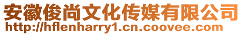 安徽俊尚文化传媒有限公司