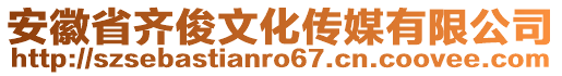 安徽省齊俊文化傳媒有限公司