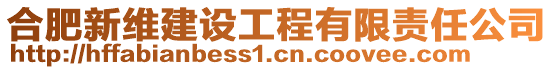 合肥新維建設(shè)工程有限責(zé)任公司