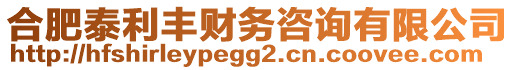 合肥泰利豐財(cái)務(wù)咨詢有限公司