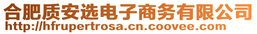 合肥質(zhì)安選電子商務(wù)有限公司