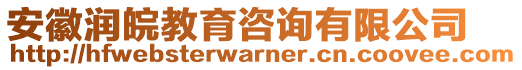 安徽潤皖教育咨詢有限公司