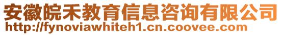 安徽皖禾教育信息咨詢有限公司