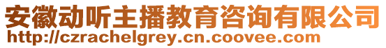 安徽動聽主播教育咨詢有限公司