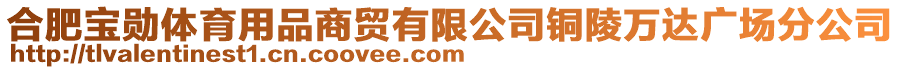 合肥寶勛體育用品商貿有限公司銅陵萬達廣場分公司