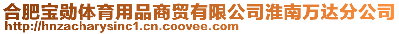 合肥寶勛體育用品商貿有限公司淮南萬達分公司