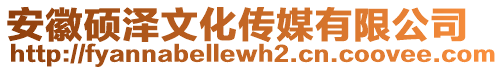 安徽碩澤文化傳媒有限公司