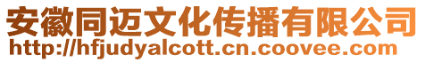 安徽同邁文化傳播有限公司