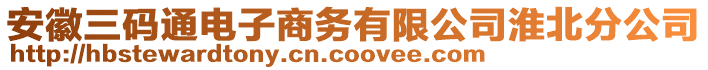 安徽三碼通電子商務有限公司淮北分公司