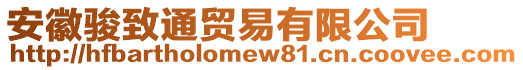 安徽駿致通貿(mào)易有限公司