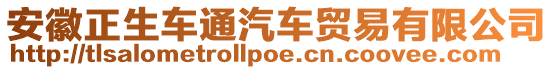 安徽正生车通汽车贸易有限公司