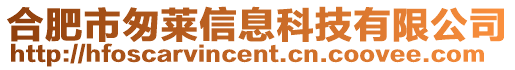 合肥市匆萊信息科技有限公司