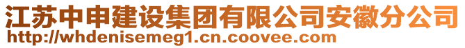 江苏中申建设集团有限公司安徽分公司