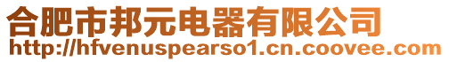 合肥市邦元電器有限公司