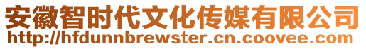 安徽智時(shí)代文化傳媒有限公司