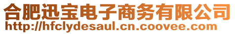 合肥迅寶電子商務有限公司
