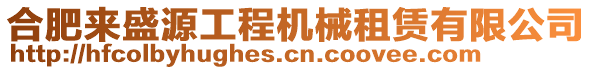 合肥來盛源工程機械租賃有限公司