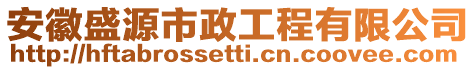 安徽盛源市政工程有限公司