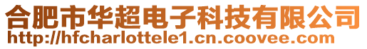 合肥市華超電子科技有限公司