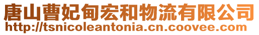 唐山曹妃甸宏和物流有限公司