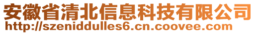 安徽省清北信息科技有限公司