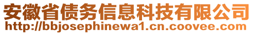 安徽省債務(wù)信息科技有限公司