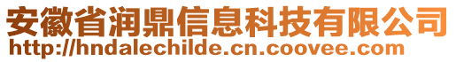 安徽省潤(rùn)鼎信息科技有限公司