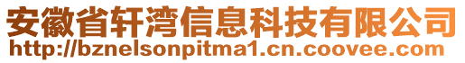 安徽省轩湾信息科技有限公司