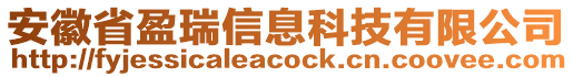 安徽省盈瑞信息科技有限公司