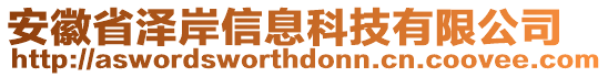 安徽省澤岸信息科技有限公司