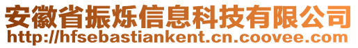 安徽省振爍信息科技有限公司