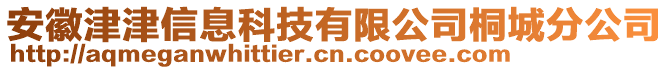 安徽津津信息科技有限公司桐城分公司