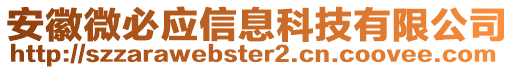 安徽微必應信息科技有限公司