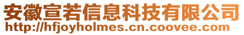 安徽宣若信息科技有限公司