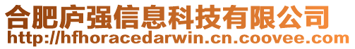 合肥廬強(qiáng)信息科技有限公司