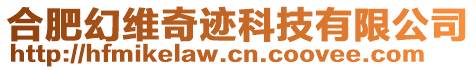 合肥幻維奇跡科技有限公司