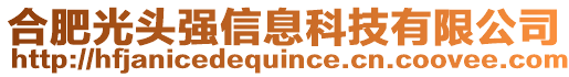 合肥光頭強(qiáng)信息科技有限公司