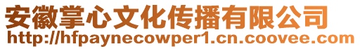 安徽掌心文化傳播有限公司