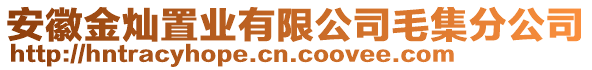 安徽金燦置業(yè)有限公司毛集分公司