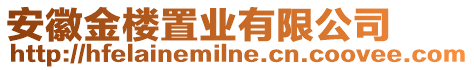 安徽金樓置業(yè)有限公司