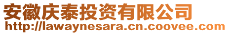 安徽慶泰投資有限公司