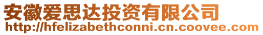 安徽愛(ài)思達(dá)投資有限公司