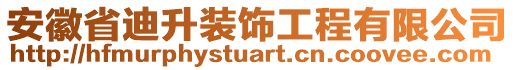 安徽省迪升裝飾工程有限公司