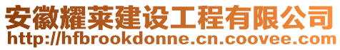 安徽耀萊建設(shè)工程有限公司