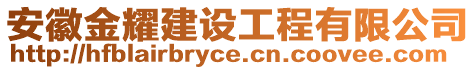 安徽金耀建設工程有限公司