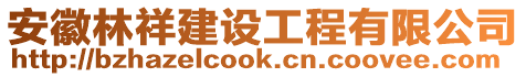 安徽林祥建設(shè)工程有限公司