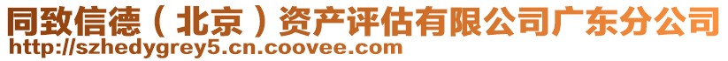同致信德(北京)資產評估有限公司廣東分公司
